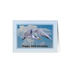 Happy Birthday, 96th, Royal Tern Bird Card Toys & Games