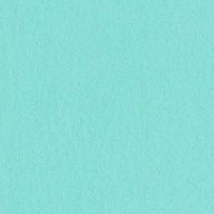   Wide Arctic Fleece Fabric Turquoise By The Yard: Arts, Crafts & Sewing