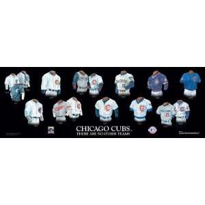  Chicago Cubs Evolution Plaque