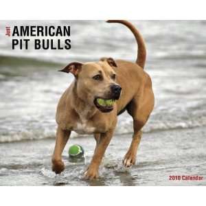  American Pit Bulls 2010 Wall Calendar: Office Products