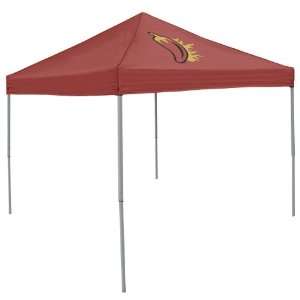   Lafayette Ragin Cajuns 9 x 9 Economy Canopy Tent: Sports & Outdoors