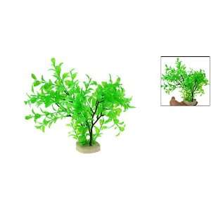   Plastic Tree Plant Ornament Green with Ceramic Base: Pet Supplies