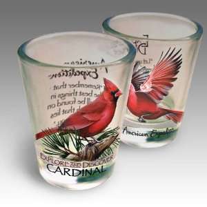  Northern Cardinal Shot Glass Set: Kitchen & Dining