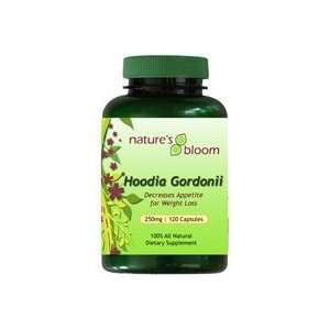  Natures Bloom S. African Hoodia Gordonii Capsules 250mg 