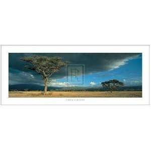  Chris Simpson   Olduvai Gorge Size 36x12 Poster Print 