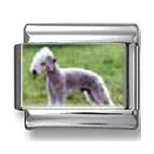  Bedlington Terrier Dog Photo Italian Charm: Jewelry