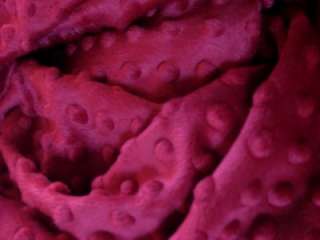 RED MINKY DIMPLE DOTS CHENILLE PLUSH BABY FABRIC 30x36  