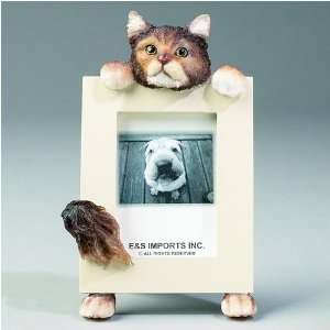  Maine Coon Cat Picture Frame: Home & Kitchen