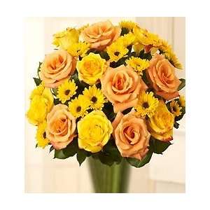 Flowers by 1800Flowers   Fair Trade Orange & Yellow Roses with Poms 