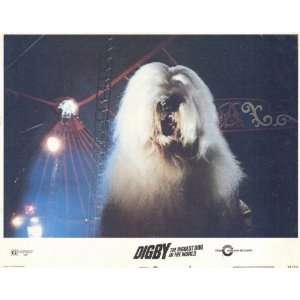  Digby, the Biggest Dog in World Movie Poster (11 x 14 