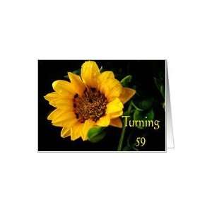  59th Birthday, yellow Gazania Card Toys & Games