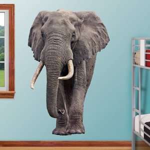  Animal Fathead Wall Graphic Elephant: Sports & Outdoors