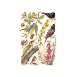  Botanical Birds & Flowers Scraps ~ England