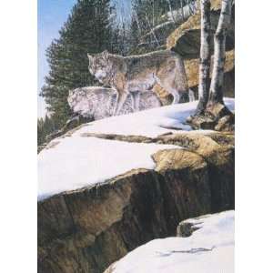  Gilder   On the Lookout   Timber Wolves Artists Proof: Home & Kitchen