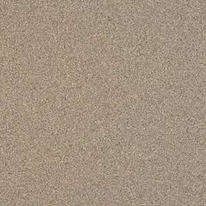   Possibilities Petit Point Wet Sand Vinyl Flooring: Home Improvement