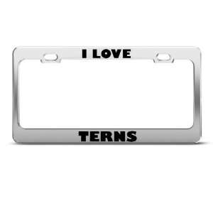 I Love Terns Tern Animal Metal license plate frame Tag 