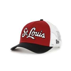    St. Louis Cardinals New Era MLB Team Fresh Cap: Sports & Outdoors