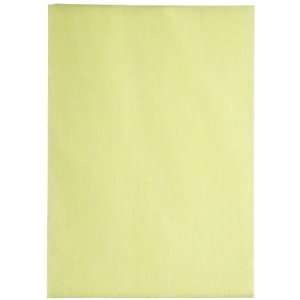 Brawny Industrial 29616 Yellow 1/4 Fold Dusting Cloth, 24 Length x 17 