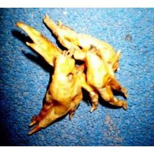   : Animals Plus LLC NBCF Single Ingredient Chicken Feet: Pet Supplies