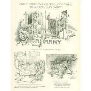   1901 Cartoons On New York Municipal Election Tammany 