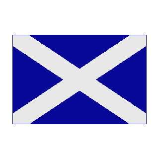  Scotland St. Andrews Cross Flag Nylon 2 ft. x 3 ft.: Home 