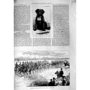   1883 SOUTHSEA CHARITY DOG BRAKE MIDDLESEX ARMY BUSHEY: Home & Kitchen