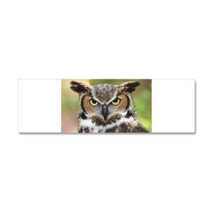   21 x 7 Wall Vinyl Sticker Great Horned Owl: Everything Else