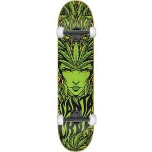  Santa Cruz Weed Goddess Lg Complete Skateboard   8.25 w 