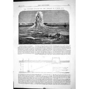   1874 Torpedo Attack Oberon Stokes Bay Experiments: Home & Kitchen