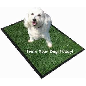  Perfect Puppy Potty PWS22 Potty 32 in. x 22 in. Pet 