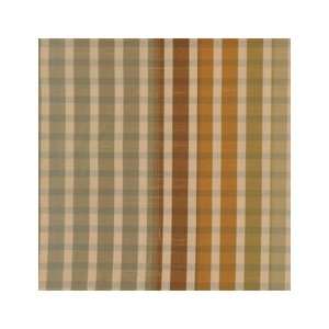  Stripe Autumn 31836 132 by Duralee Fabrics