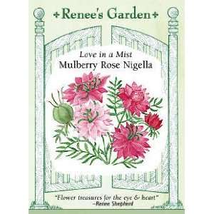  Nigella   Mulberry Rose Seeds: Patio, Lawn & Garden