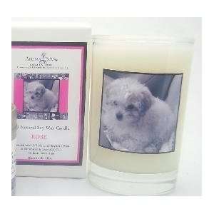   220   Breed Candle Glass Gift Box   Poodle   Rose   5 Oz: Pet Supplies