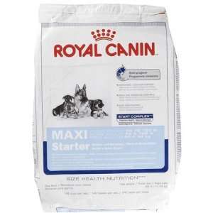 Royal Canin Maxi Starter   Mother/Baby dog   26 lb (Quantity of 1)