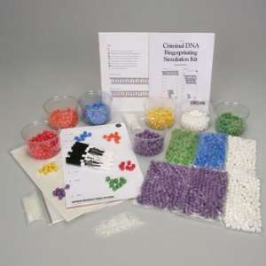 Criminal DNA Fingerprinting Simulation Paper Refill Kit:  