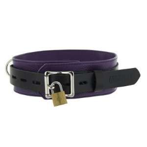 Strict Leather Deluxe Locking Collar   Purple and Black 