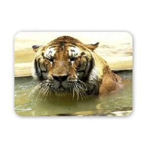  Moving tigers from the Born Free Sanctuary..   Mouse Mat 
