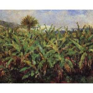  Oil Painting Field of Banana Trees Pierre Auguste Renoir 