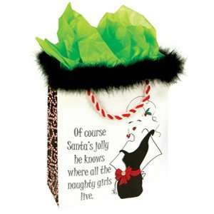  Santa Knows Christmas Gift Wrap Bags Maribou Trim: Health 