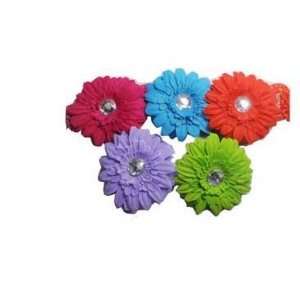  5 PCS Gerber Daisy Flower Crochet Headband: Everything 