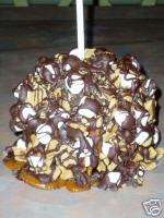 SMORES MARSHMALLOW CARAMEL CHOCOLATE CANDY APPLE/APPLES  