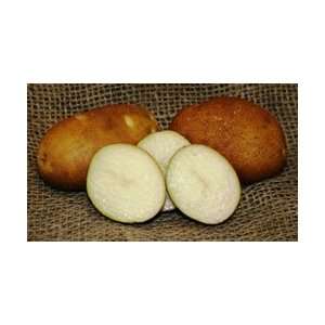   Potatoes   Russet Burbank Organic Heirloom Seeds: Patio, Lawn & Garden
