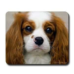  Cavalier King Charles Pets Mousepad by  Office 