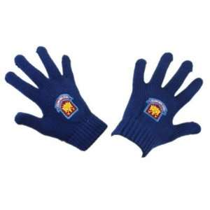  West Ham United Fc Gloves   Football Gifts: Sports 