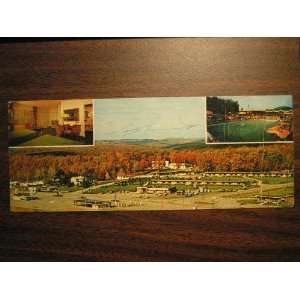  60s Rheas Resort Motel, Clarion, Pennsylvania Postcard 