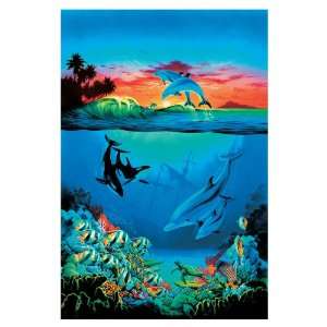   Wallcovering Around the World Under Sea Tropical Wallpaper 259 72005