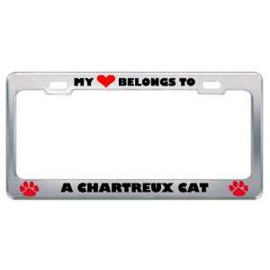 My Heart Belongs To A Chartreux Cat Animals Pets Metal License Plate 