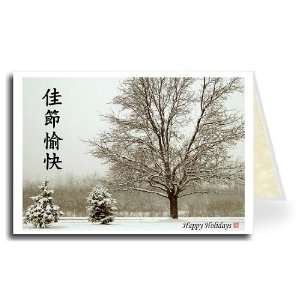  Chinese Greeting Card   Colorful Snowy Happy Holidays 