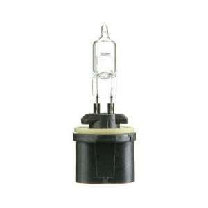  Cec Industries 884 Miniature Bulbs Automotive