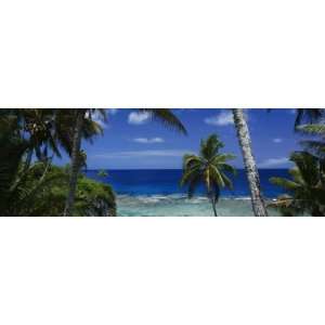  Palm Trees on Island Coast, Blue Ocean Water, Nive Island 